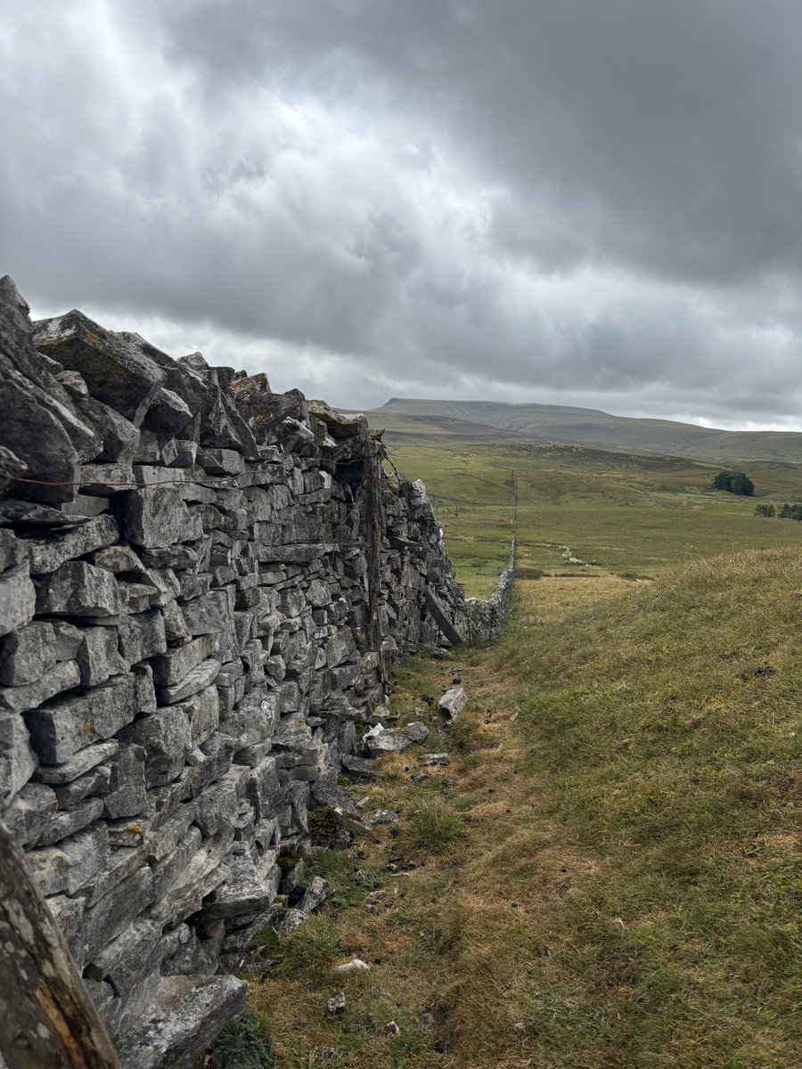 earthcurated's tweet photo. "Some paths don't just lead you through a landscape-they lead you back in time." https://t.co/TWC7NrPFnL