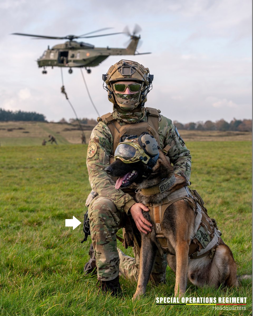 Marco845549's tweet photo. Binomio K9. SOR 🇧🇪
- Guía:
🇺🇸 🪖 Ops-Core FAST + 🇺🇸 🎧 3M Peltor
🇺🇸 🎨 Multicam G4 
🇩🇪 🥾 Lowa Zephir 
 -🐕‍🦺 🇧🇪 Malinois. EDD o Detector de explosivos 
🇵🇱 🪖 Dark System con bozal ⬜
🇺🇸 🎧 Walkers Razor
🇨🇦 Arnés Cerberus K9 MKT 
* Fast Rope en  🚁 NH-90 TTH https://t.co/Kfw9EbcxIB