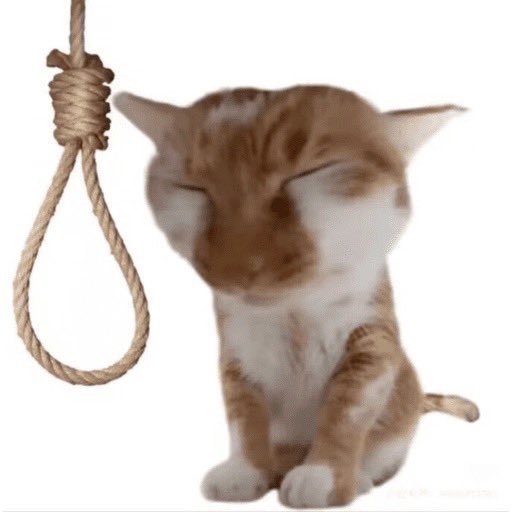 raitaque's tweet photo. moço do computador fazendo rage bait em mim ele acha q eu nasci ontem https://t.co/Rhj3oD4Feh
