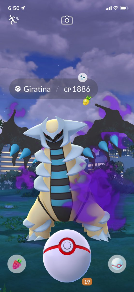 QShinies's tweet photo. At least we know it’s active 🤣🤣🤣 #PokemonGo #ShinyPokemon https://t.co/aUVbMZFWba