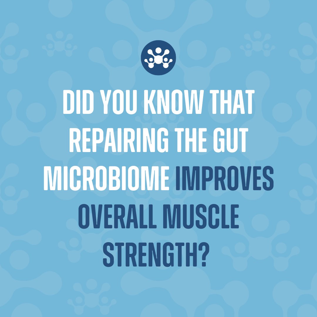 defeatduchenne's tweet photo. New research has shed light on a fascinating link between our digestive system and muscle health, offering fresh insights into Duchenne muscular dystrophy: https://t.co/NVbsRfKmio https://t.co/5sVP6eGKOh