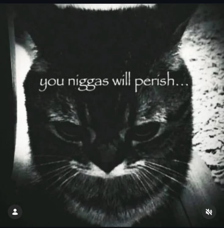 gioandsassy's tweet photo. @RT_Visual_on_X What they be thinking. https://t.co/qLoYLjdxPS