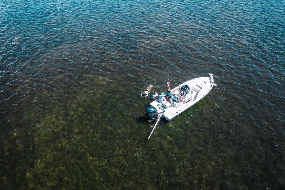 FLSportsCoast's tweet photo. 14  days left until scalloping season ends 🌊🐚

Go now - the Gulf is perfect and the scallops are plentiful.

Full itinerary in the link in bio.

#FSC #ScallopingSeason #FloridaTravel #GulfLife https://t.co/ZOIlqhhcgf