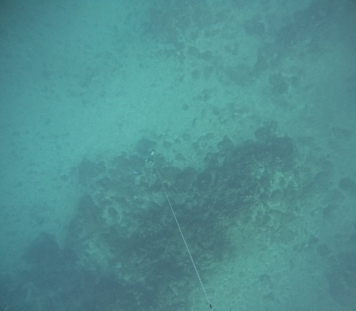 Freedive_Lamia's tweet photo. https://t.co/1LPC1qAp5T https://t.co/Qk1ENsEWjh