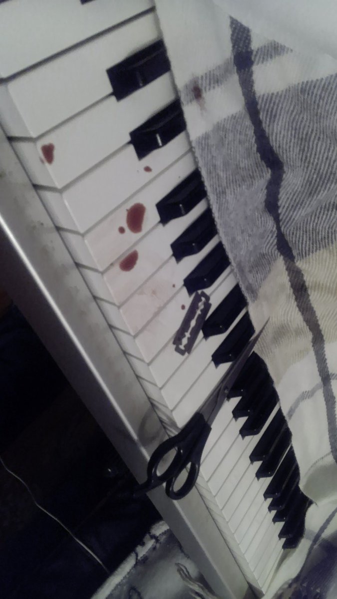 B0y4the_morgu3x's tweet photo. Keyboard https://t.co/9ShdzeYstT