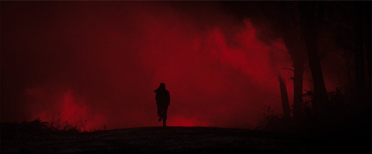slasherbaddies's tweet photo. everyone speaking ill of a horror movie that looks this gorgeous… count me as evil dead burn’s biggest defender https://t.co/Q7XfFpvgHP