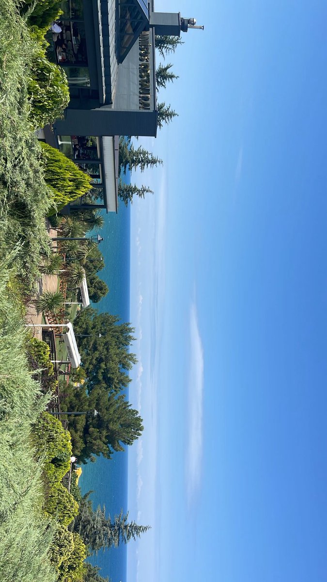 shubiri__'s tweet photo. Samsun ( beğendim 🧿) https://t.co/XE5zJs9buI
