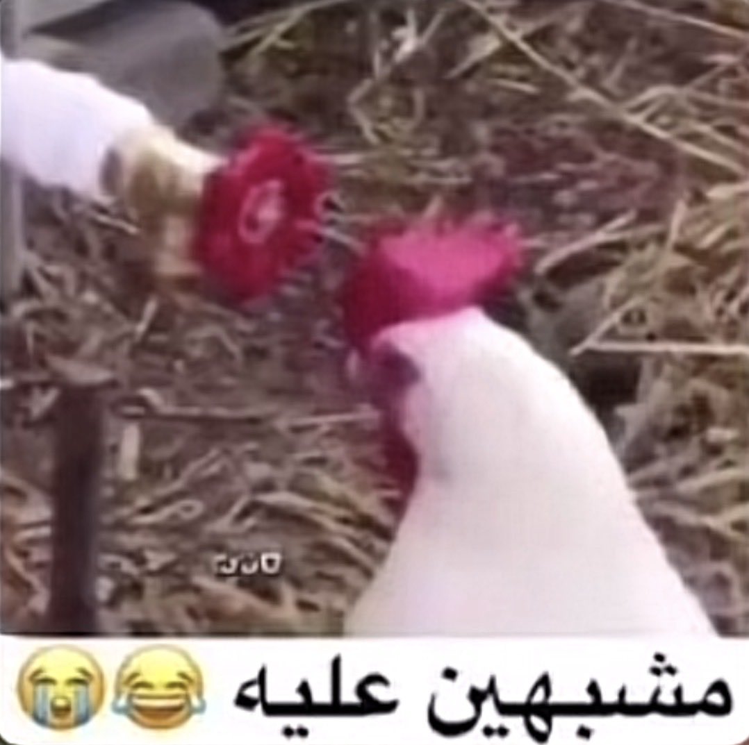 swetebelle's tweet photo. @Ibymerit_ ملخبطين بيني و بين حساب ثاني https://t.co/4d76I3aCwF