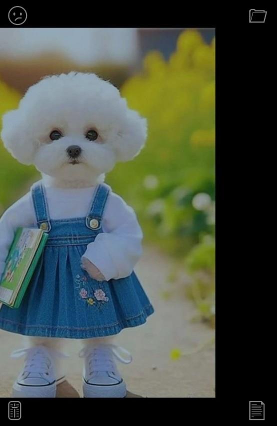 ines20081111's tweet photo. 📙Love deeply, forgive quickly.129904Rabbit Walk The rabbit is healthy https://t.co/562V0CDIny