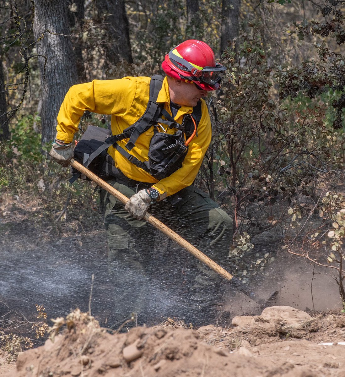 KVALnews's tweet photo. The Grasshopper Fire has moved west, and as a result, Mt. Hood Meadows is now under a Level 3 — Go Now evacuation order.
https://t.co/sOYmzKx149
Photo Courtesy: Oregon News Lab
#FireSeason #Wildfires #MtHoodMeadows #ODOT #ForestService #GrasshopperFire #Oregon #PNW https://t.co/7L7ms83Wpi