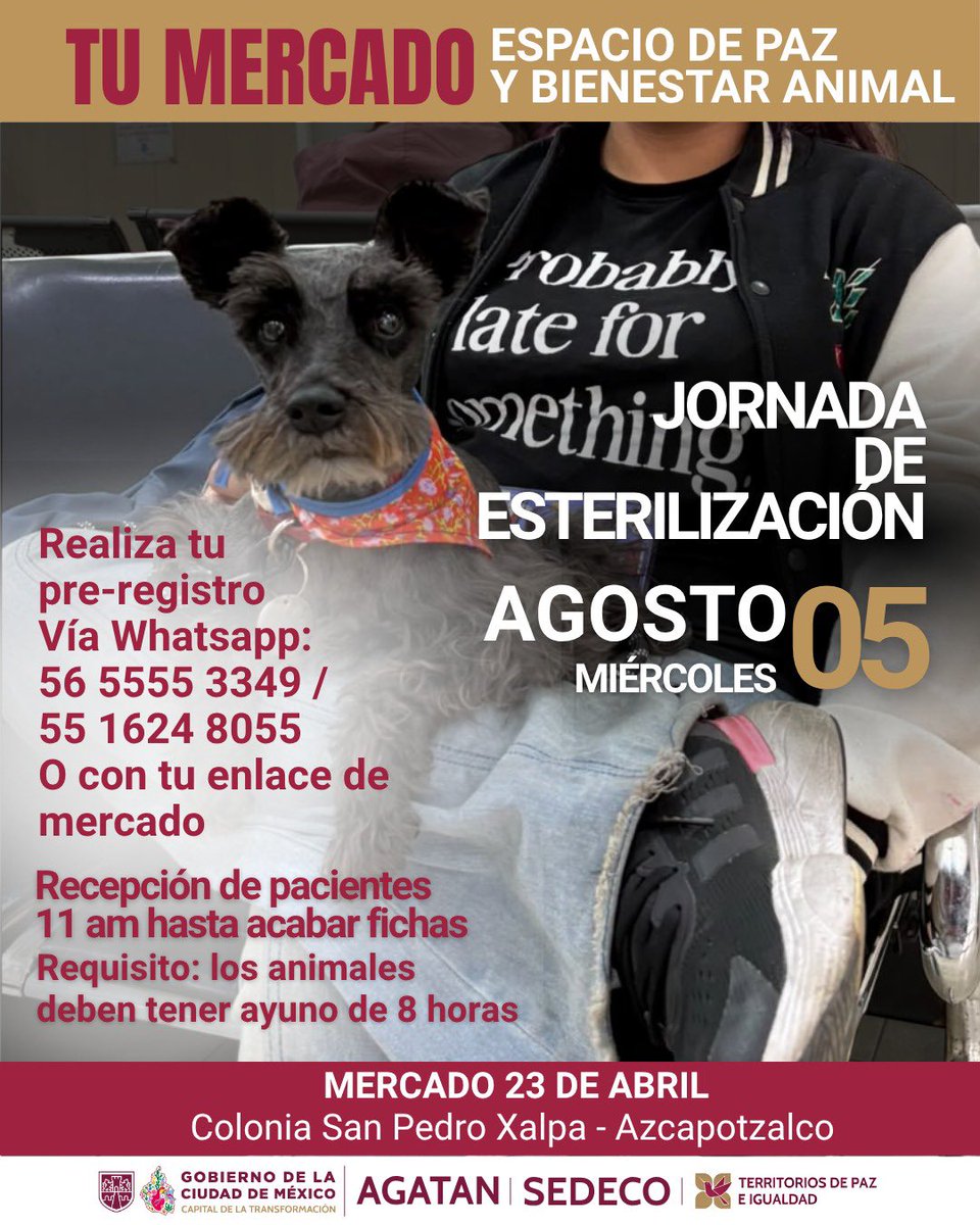 AgatanCdmx's tweet photo. 🐾🐈‍⬛ desde el centro económico más valioso para las personas : mañana las y los esperamos en #JornadaEsterilización  🐾🐾🐾🐈‍⬛ #TerritoriosDePaz en Mercado 23 de abril en #Azcapotzalco @GobCDMX @ClaraBrugadaM @tomaspliegoc @ManolaZabalza https://t.co/DoUxv7mz5U