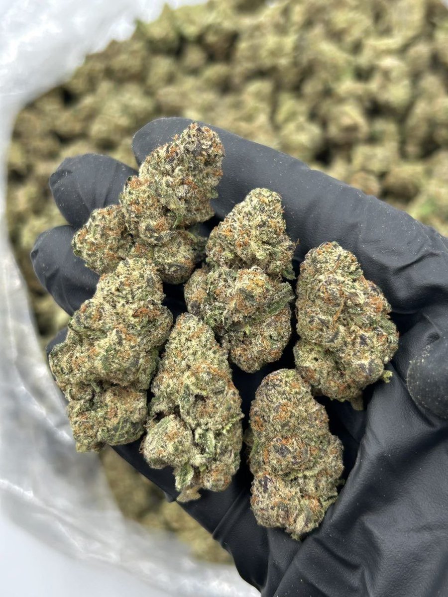 led1636521's tweet photo. Coria weed Jerez de los Caballeros weed Olivenza weed Azuaga weed Villafranca weed Miajadas weed Trujillo weed Valencia de Alcántara weed Arroyo de la Luz weed Murcia weed Cartagena weed Lorca weed Molina de Segura weed Cieza weed Yecla weed Águilas weed Caravaca de la Cruz weed https://t.co/XuqFkIfRFi