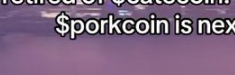 DanielKuhn77510's tweet photo. ticker is right there?

https://t.co/yqiFKkd4yL https://t.co/I5ix02A3BK