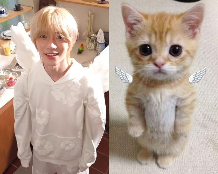 knmsbff's tweet photo. @i3gyu https://t.co/32x89NrUDU