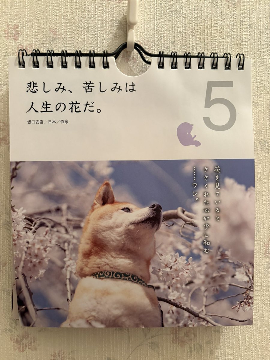 RT45452217's tweet photo. https://t.co/u6FGAdDSyc