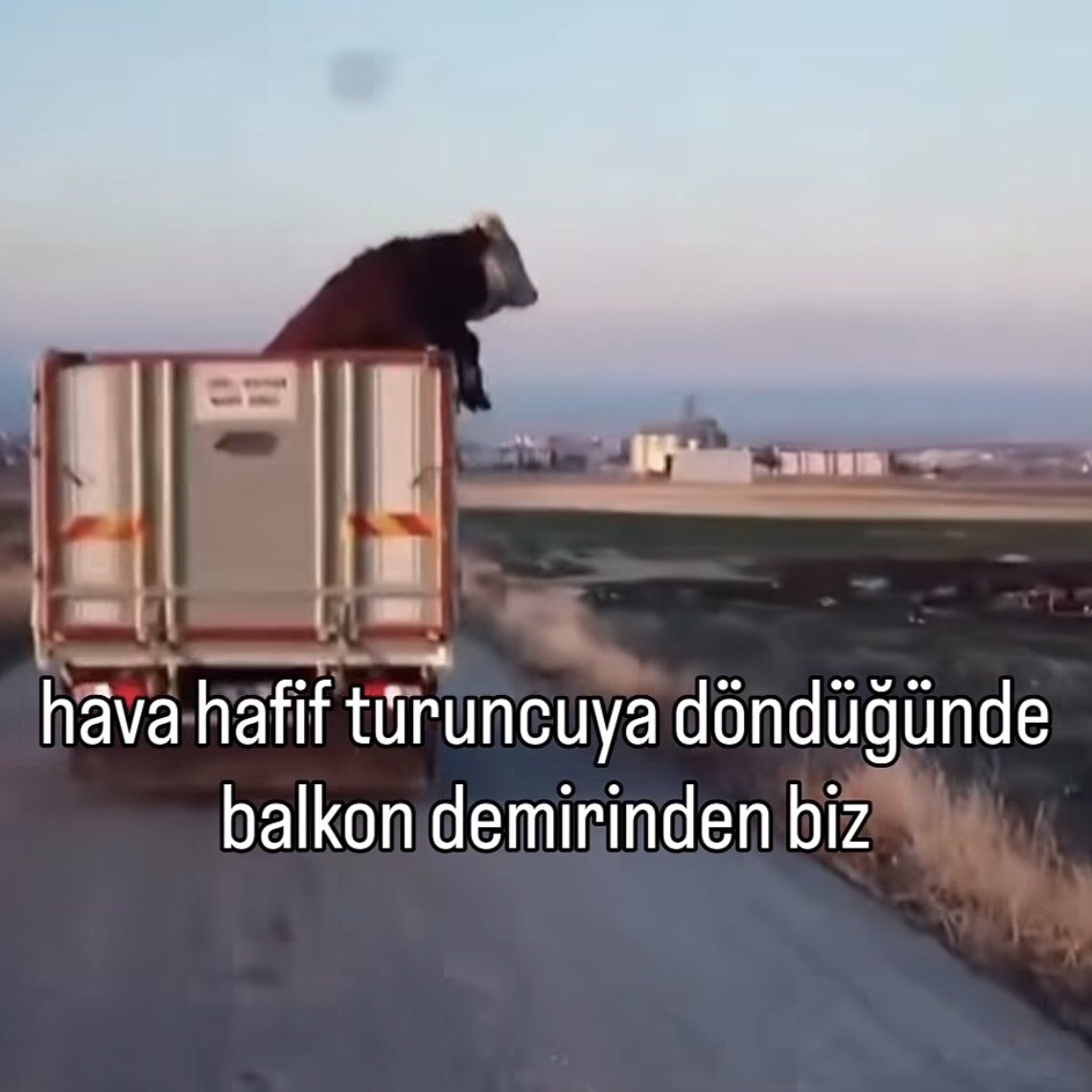 myownpencil's tweet photo. hayatın umrumuzda olduğu tek an https://t.co/nLP4ZyvuDp