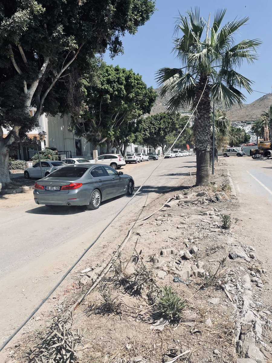heisenbergtrx's tweet photo. Bodrum Belediyesi, Türkiye'de ki en şaibeli belediyelerden bir tanesidir. O yüzden haklı olsun, olmasın günde 5 kere linçlenmeyi hak eder. Ben açıkçası ne yazdıklarını bile okumuyorum. Sabahlara kadar kamuoyu açıklaması yapsalar anlatamazlar. 

Bu fotoları ben çekmiştim geçen yaz. Turgutreis marinanın orası. Hergün binlerce insanın yürüdüğü yerlerde elektrik kabloları yerlerde böyleydi yazın ortasında. 

Her yeri rezillik içinde Bodrum'un.

Kamu yollarına güvenlik klübesi kuran oteller
Sahildeki ruhsatsız, tapusuz yapılar
Orman arazilerine otellerin taşması vs.. vs.. 

Ne ararsanız var. Daha geçen gün Hapimag Seagarden rezaletini yazdım işte. 

Ama siz imarlı arsanıza ev yapmak isteyin, bakın bakalım yapabilionz mu birilerine para yedirmeden. 

Bu düzen nasıl değişir onu da bilmiyorum açıkçası. Çok acaip bir liyakat problemi var. Bodrum'da bunların tavan yaptığı yerlerden bir tanesi.