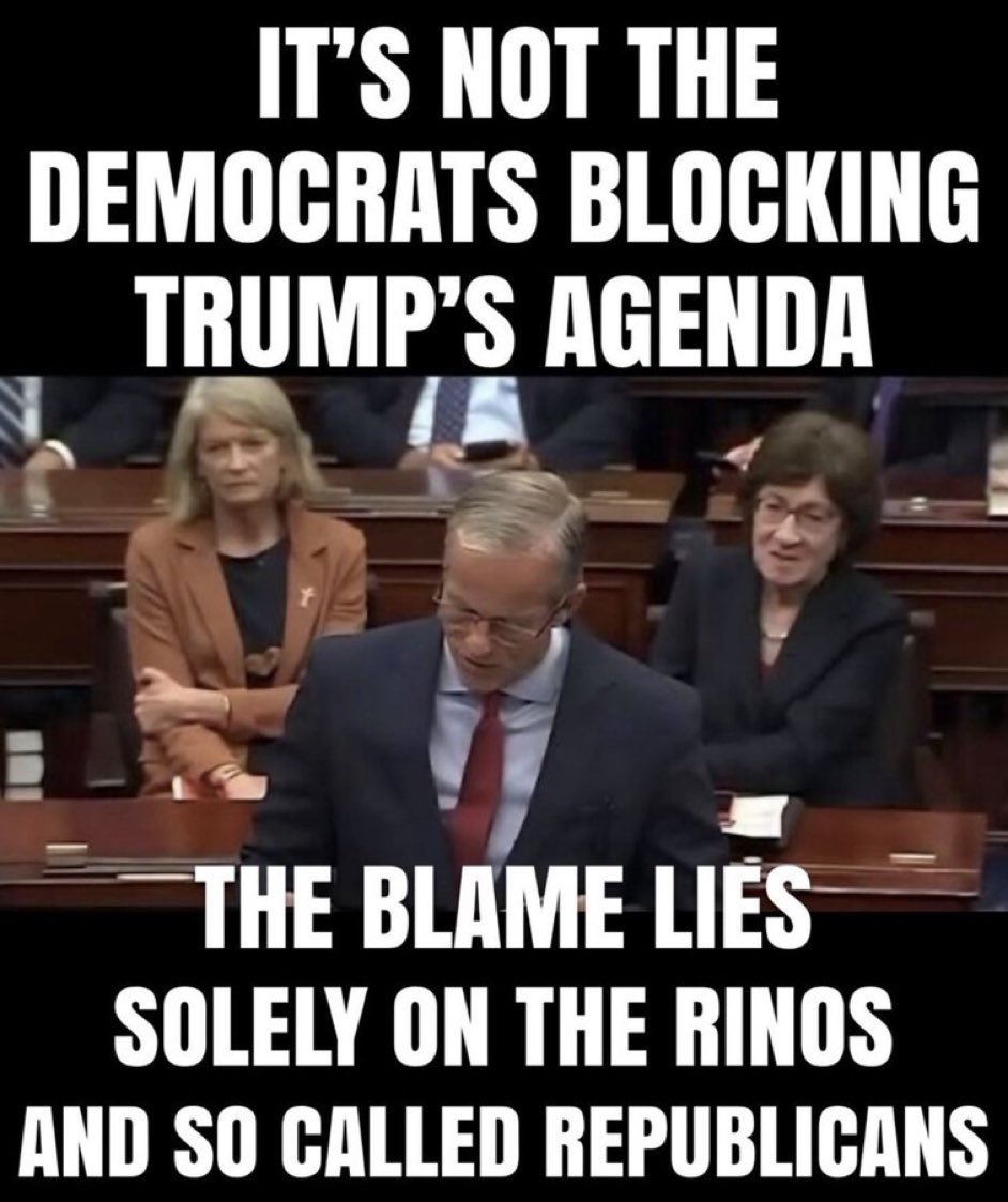 jjauthor's tweet photo. REMOVE RINO @LeaderJohnThune 
REMOVE RINO @LeaderJohnThune
REMOVE RINO @LeaderJohnThune
REMOVE RINO @LeaderJohnThune 
REMOVE RINO @LeaderJohnThune
REMOVE RINO @LeaderJohnThune 
REMOVE RINO @LeaderJohnThune
REMOVE RINO @LeaderJohnThune
REMOVE RINO @LeaderJohnThune https://t.co/Ynr4UcPCfi