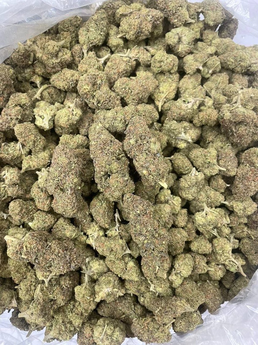 led1636521's tweet photo. Motril weed Linares weed Úbeda weed Baeza weed Antequera Ronda weed Estepona weed Fuengirola
Mijas weed Vélez-Málaga
Torremolinos weed Benalmádena weed Nerja weed Roquetas de Mar weed El Ejido weed Níjar weed Adra weed Huércal-Overa weed Lucena
Cabra weed Priego de Córdoba weed https://t.co/5IxR1nW1pg