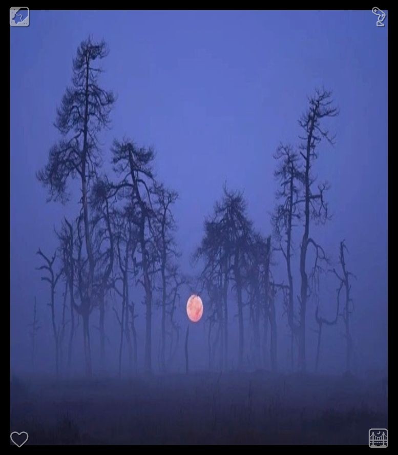 meguitmoraes's tweet photo. Clara let out a quiet chuckle, mindful not to rouse Luna, who had nestled into a snug coil on her lap, her purring so intense it resonated deep within Clara’s chest. “She’s hardly acting distant at the moment,” she remarked, casting a glance at the serene expression on the c https://t.co/L6Ik9VFon6