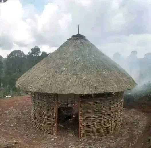 Rutojames7113's tweet photo. A newly built grass-thatched house for a Pokot man preparing for marriage. https://t.co/Wbn5Ve5XEw