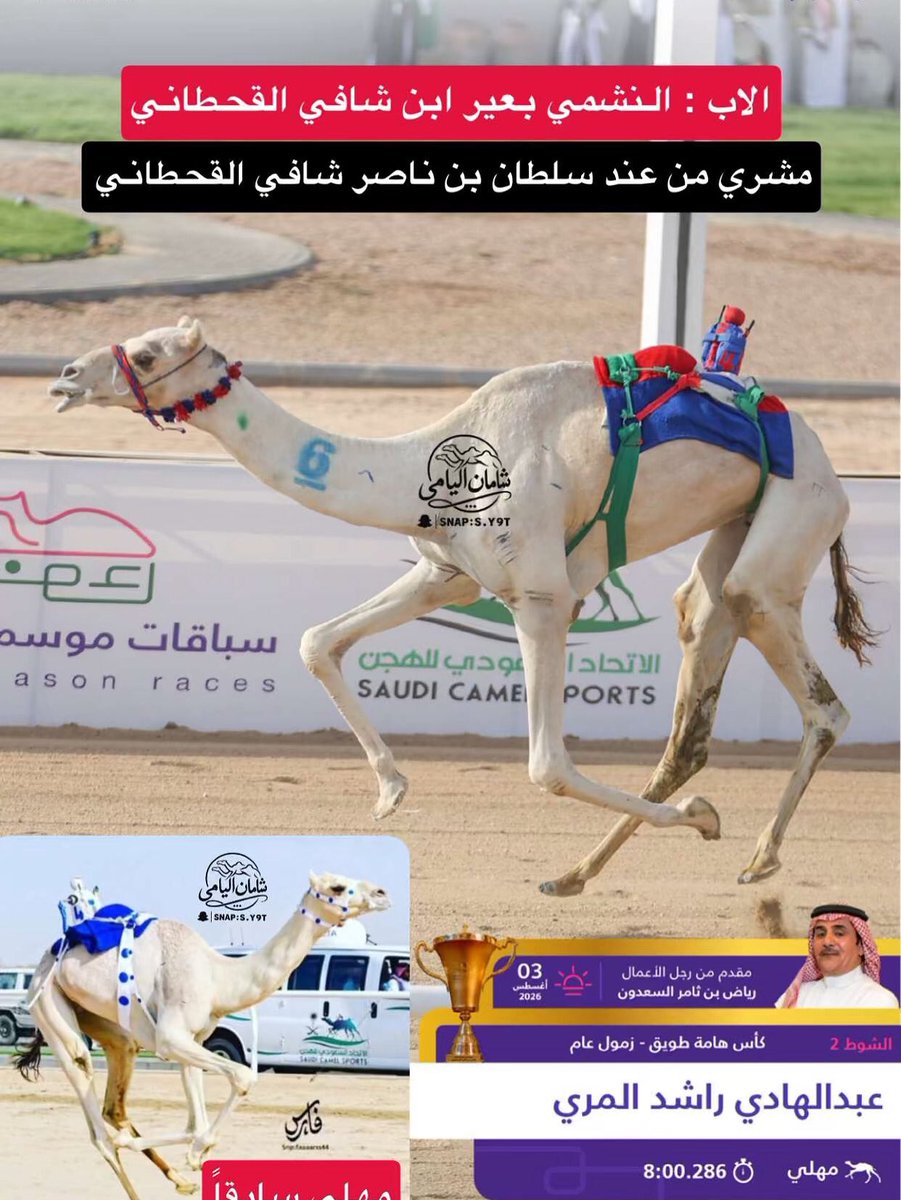 camelksa7's tweet photo. https://t.co/4tkM9g4SaE