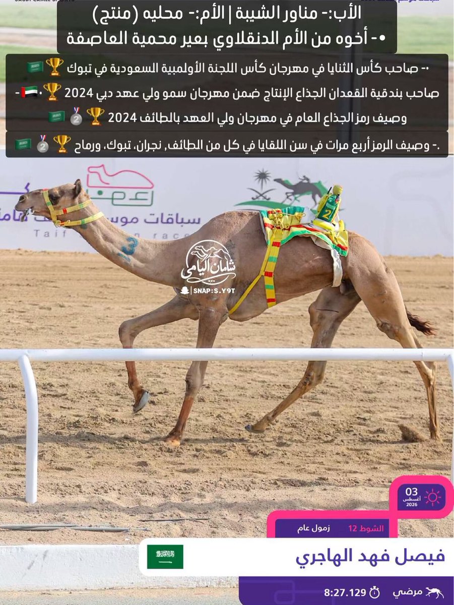 camelksa7's tweet photo. https://t.co/c87zmzsdfi