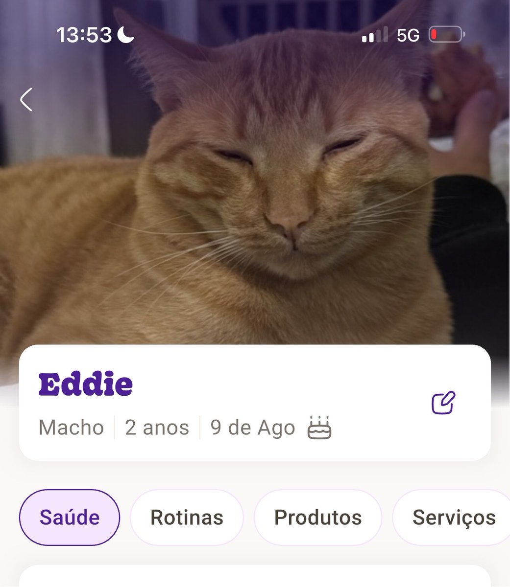 sabelhao's tweet photo. motivação para ir trabalhar: pagar o plano de saúde do meu gato https://t.co/yhw4ArkbFG
