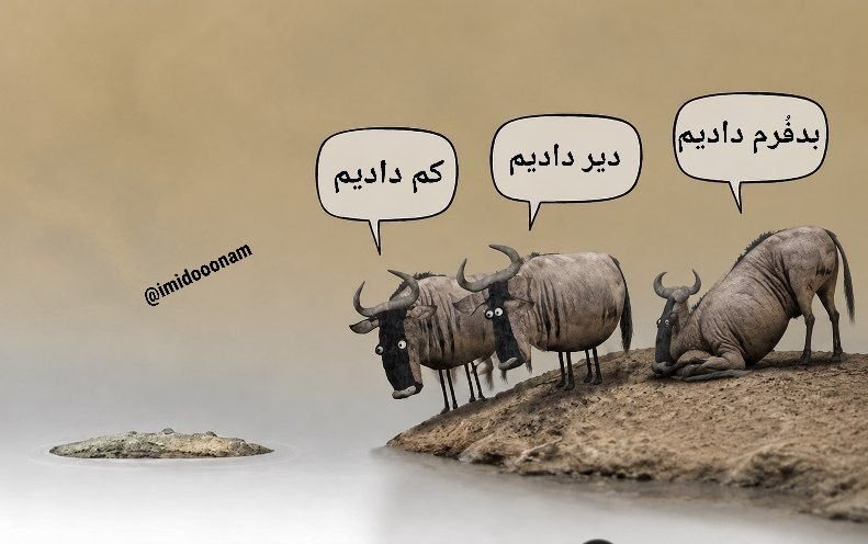 imidooonam's tweet photo. بقایی میگه ما فقط با عمان داریم مذاکره میکنیم نه با آمریکا

وزیر خزانه داری آمریکا میگه احتمالا امروز فردا با ایران به توافق میرسیم!!

انقدر سخته فهمیدنش که عمان همون آمریکاست؟

#قمبلُ_کن https://t.co/XDCCdMOZ4Y