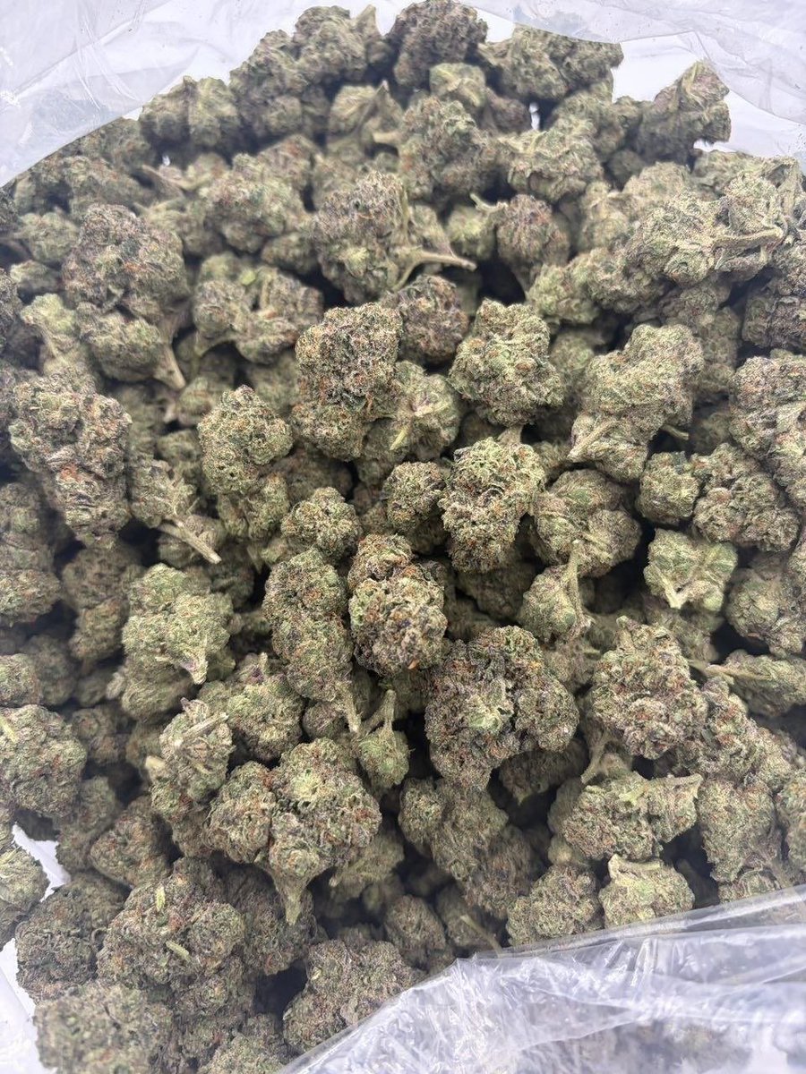 led1636521's tweet photo. Alcarràs weed Almacelles weed Bellpuig weed Torà weed Ponts weed Reus weed Cambrils weed Salou weed Vila-seca weed Calafell weed El Vendrell
Valls weed Montblanc weed Falset
Móra d’Ebre weed Gandesa weed Amposta weed Sant Carles de la Ràpita
Deltebre weed L’Ametlla de Mar weed https://t.co/7vWPs9rpa7
