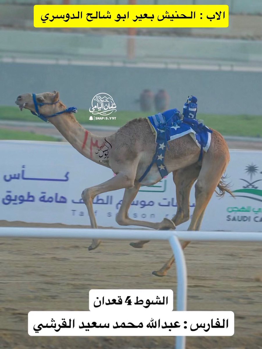 camelksa7's tweet photo. اي https://t.co/uQTtyJGDoN