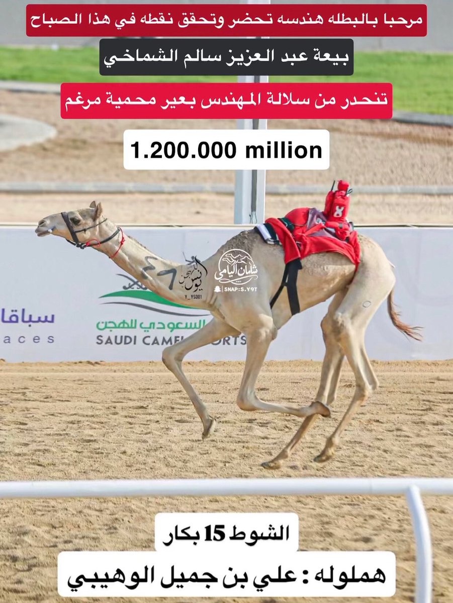 camelksa7's tweet photo. https://t.co/XXRewyulP3