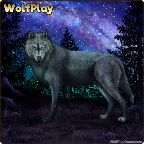 WolfPlayGame1's tweet photo. Today's featured Game Wolf! Embark on an adventure and play for free today!
#wolf #wolves #wolfgame #wolfplaygame #animalgame #wolfart #gameart #simgame #petgame #petsim #fantasy #milkyway #space #roleplay #art #game https://t.co/BEZT9DJvIG
