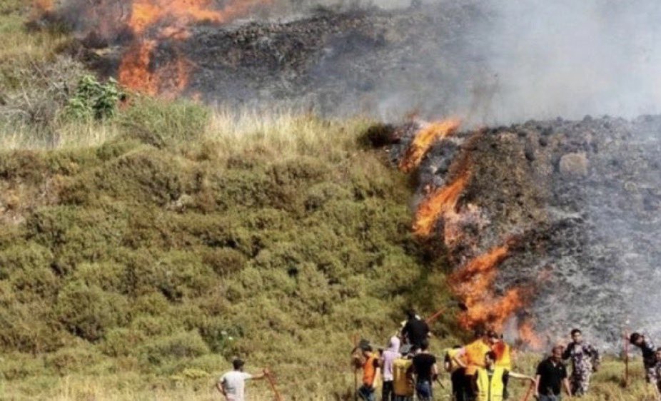 AbujomaaGaza's tweet photo. zionist jewish settlers burn Palestinian olive orchards in the village of Aqraba, the occupied West Bank.. https://t.co/uXDfJHVnDT