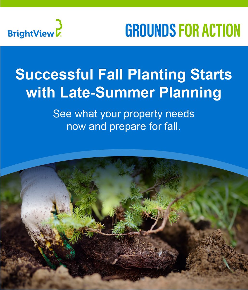 BrightView's tweet photo. Late-summer stress is showing. Thinning turf, tired planting beds, stressed trees, and worn high-traffic areas are all signals it’s time to plan ahead. An August property audit can help prioritize improvements, manage budgets, and prepare for fall. https://t.co/QACXIA5NEU https://t.co/J53qWabSEQ