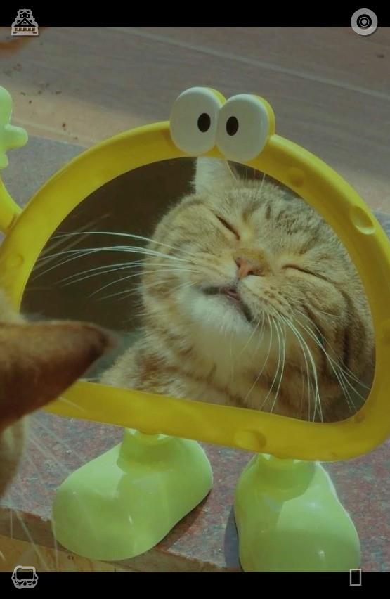 AngelDromies's tweet photo. 🥙Badminton with Friend The game, the score502302Packing Luggage The suitcase is ready https://t.co/cU3O6PkkKH