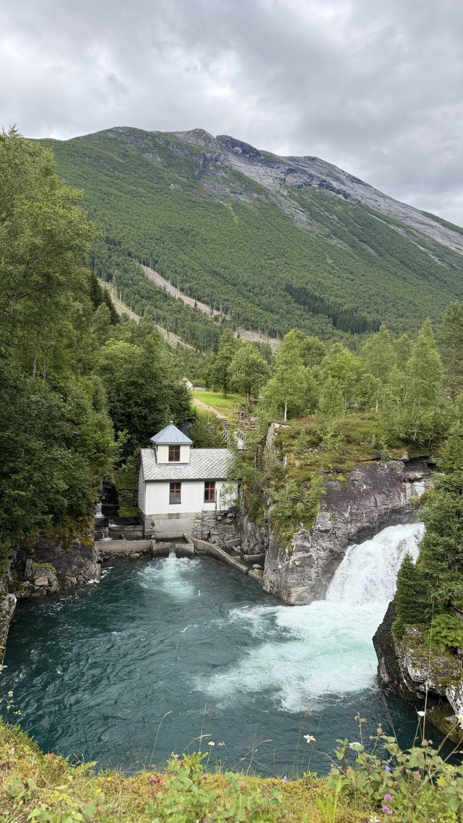QueenSusu12's tweet photo. Every path leads to peace 🇳🇴 https://t.co/7eAEb1YpD1