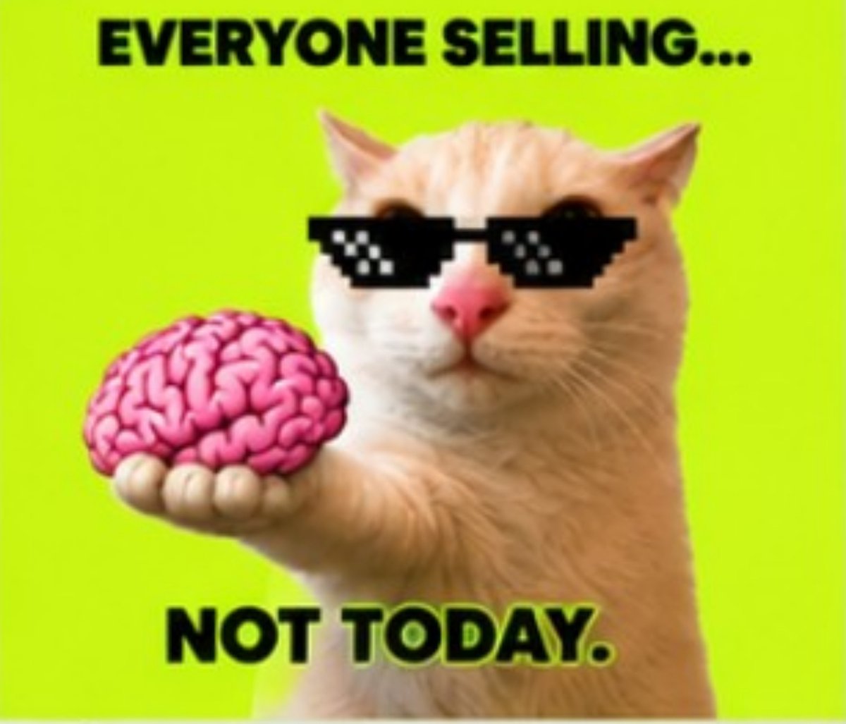 BrainerCat's tweet photo. CA in 10 min https://t.co/rR1KqhI1jd