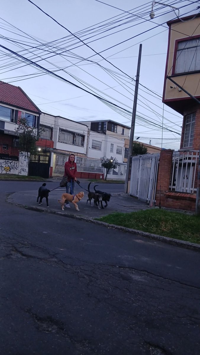 LauraDanielaCM's tweet photo. Si usted vive entre la calle 63 y sus alrededores entre carrea 17 y 20 y deja a sus períos al cuidado de este "personaje", le recomiendo revalidar...

Lo vi con los 4 perros y la de color claro, iba asustada y medio se movía y la asustaba hablándole super duro. https://t.co/BPrBhciSye
