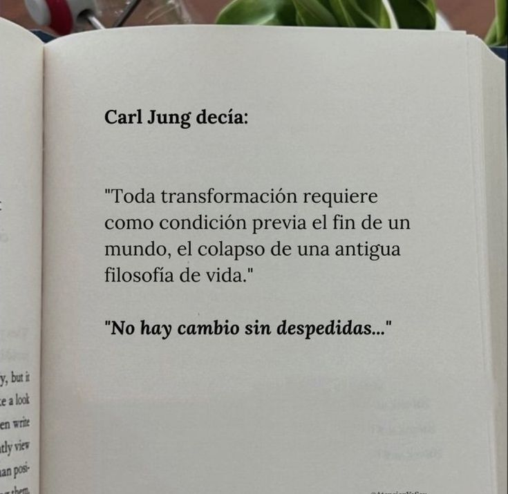 ElArteDeVivir__'s tweet photo. https://t.co/q3elf6urKU