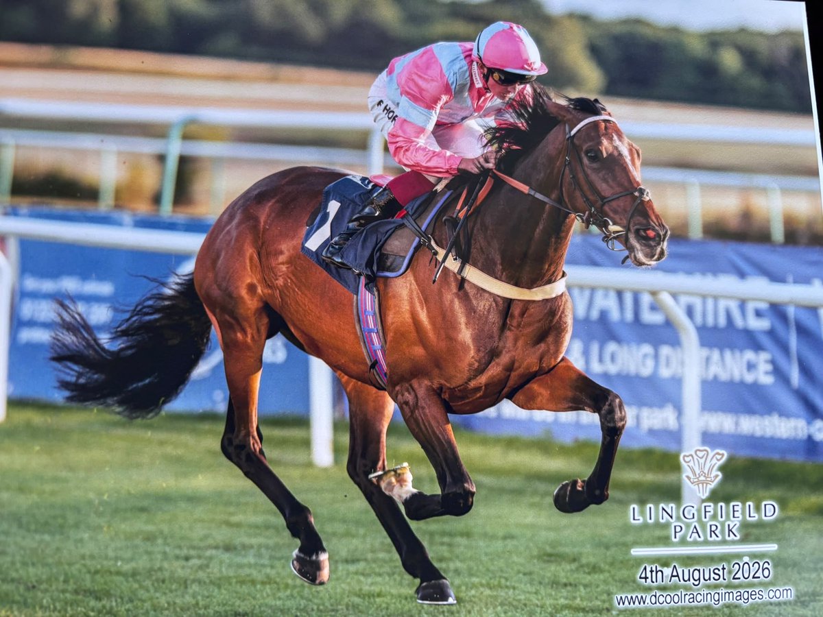 lucy_snowden's tweet photo. π₯ winner on the flat over 1m3f for team @jamiesnowden as #HopeRising wins @LingfieldPark under @rob_hornby18 for owners One More Moment Of Madness. Lovely to see this 3 time hurdle winner break her maiden on the level. @Fitzdares #PhoenixOfSpain #TeamJSR π₯π₯π https://t.co/tospjO2ncR