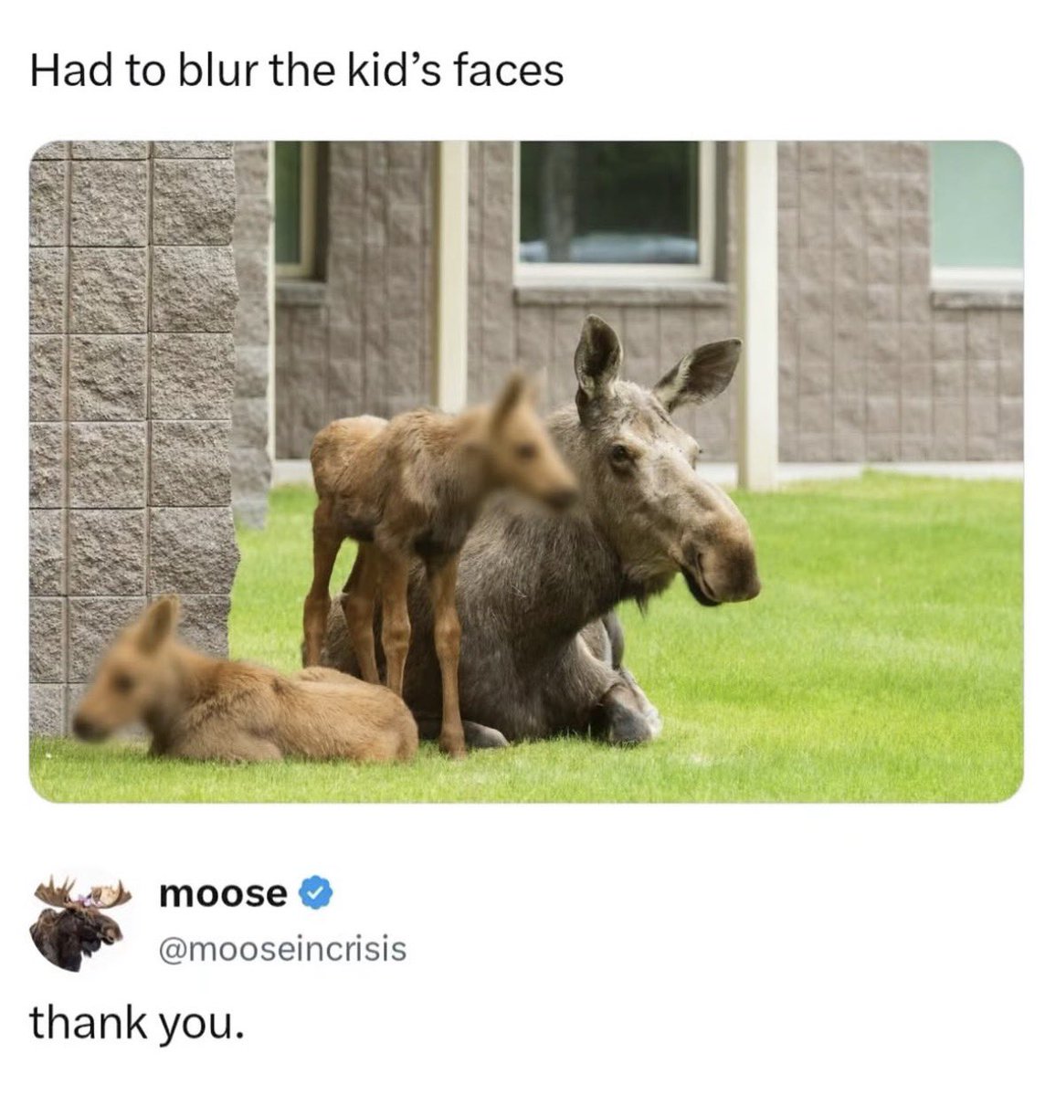 RespectfulMemes's tweet photo. https://t.co/6IRgFY0eda