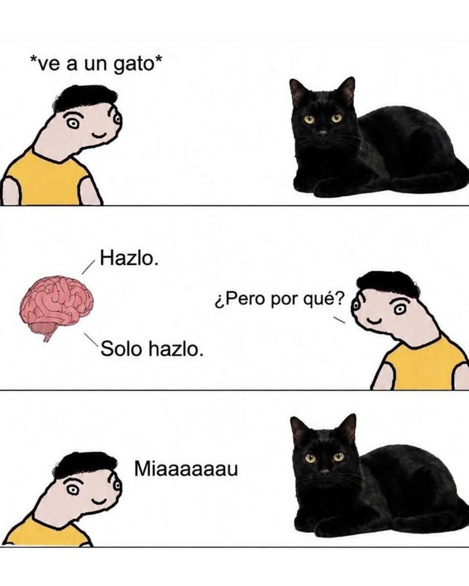 yisucrist's tweet photo. soy ese https://t.co/F9JyvOOngU