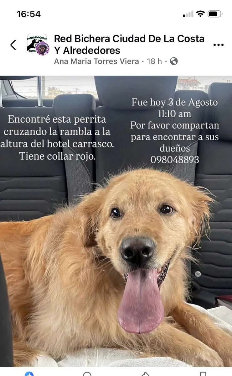 Adriana43587622's tweet photo. Dueños https://t.co/nhxHekbsvn