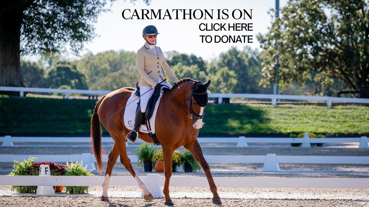 santaanitapark's tweet photo. 🎓🐎 Welcome to CARMAthon University! Join us Saturday, August 8 as we celebrate the Class of 2026 retiring California-raced Thoroughbreds beginning their next chapter.
📺 Live from Del Mar on FanDuel TV
❤️ Donate today and help support Thoroughbred aftercare. Every gift makes a difference!
https://t.co/cK58uCTgwq