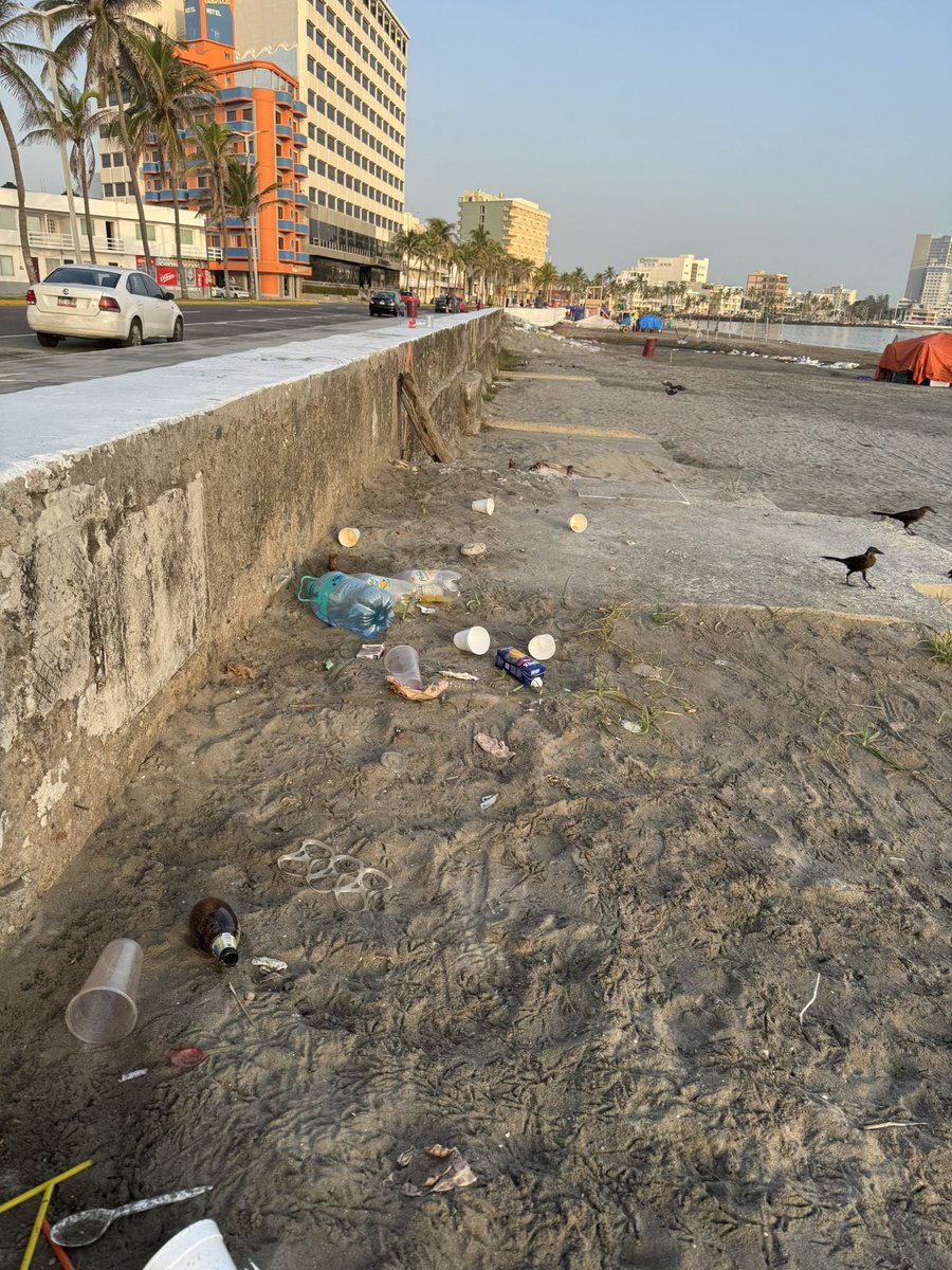 MaTere_Mendoza's tweet photo. Apreciable turista:
Nos da mucho gusto que visites el puerto de Veracruz y disfrutes lo que la ciudad ofrece, pero no seas cochino, por favor.

Las playas lucen así, aunque hay botes de basura cercanos, tiran porquerías por todos lados.

Demuestra tu educación, por favor. https://t.co/Nxn462vBel