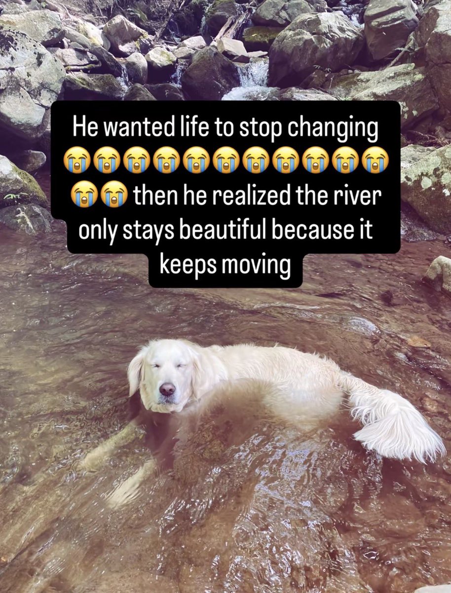 nolkou's tweet photo. how i be lately https://t.co/zFONCVGnhO
