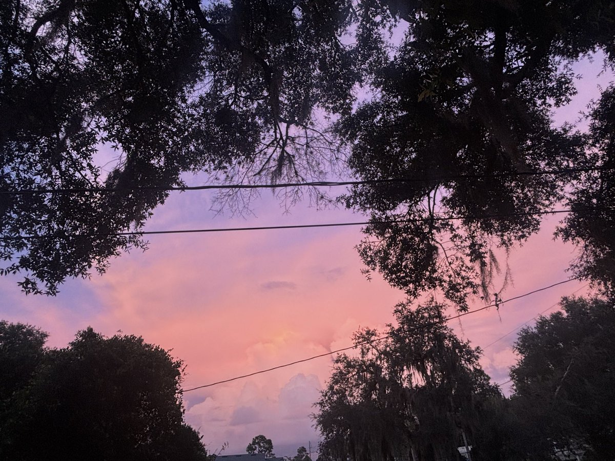 AlannaAmon's tweet photo. Glow knowings.

Day submitting to dusk. 

Amongst the skies. 

Behold the behind views.

Opposite directions of the setting sun. 

Looking back, when necessary. https://t.co/dQQF7IGDxI
