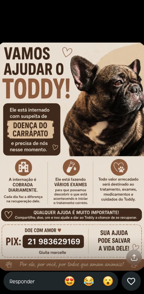 Dolleleti's tweet photo. O cachorro de um amigo meu está com a doença do carrapato quem puder ajudar.. https://t.co/wILibhKmk1