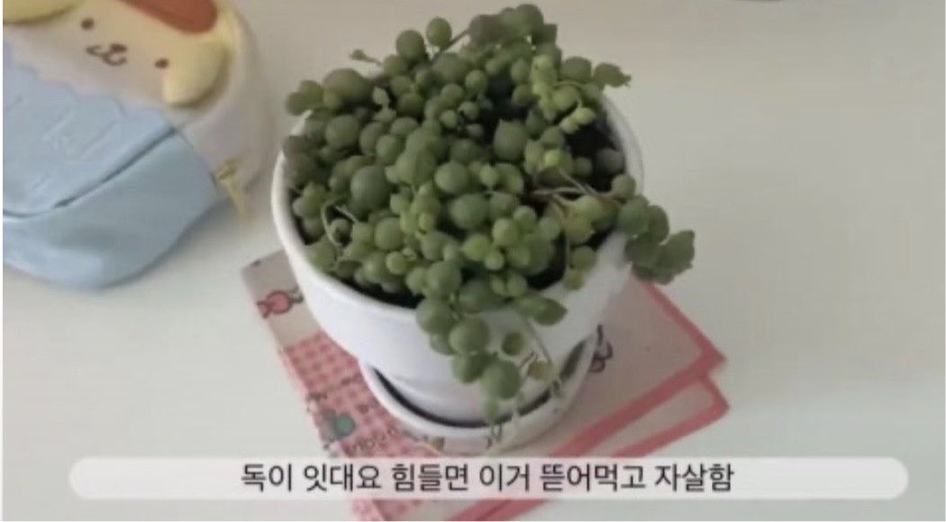 failedkidrefuge's tweet photo. 이거김재히 https://t.co/Dcw5tt5bpz